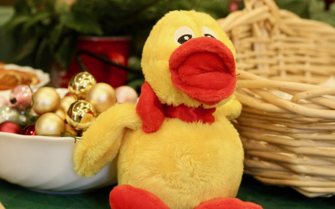 „Schnatterinchen Club“ – gestalte dein Weihnachtslicht